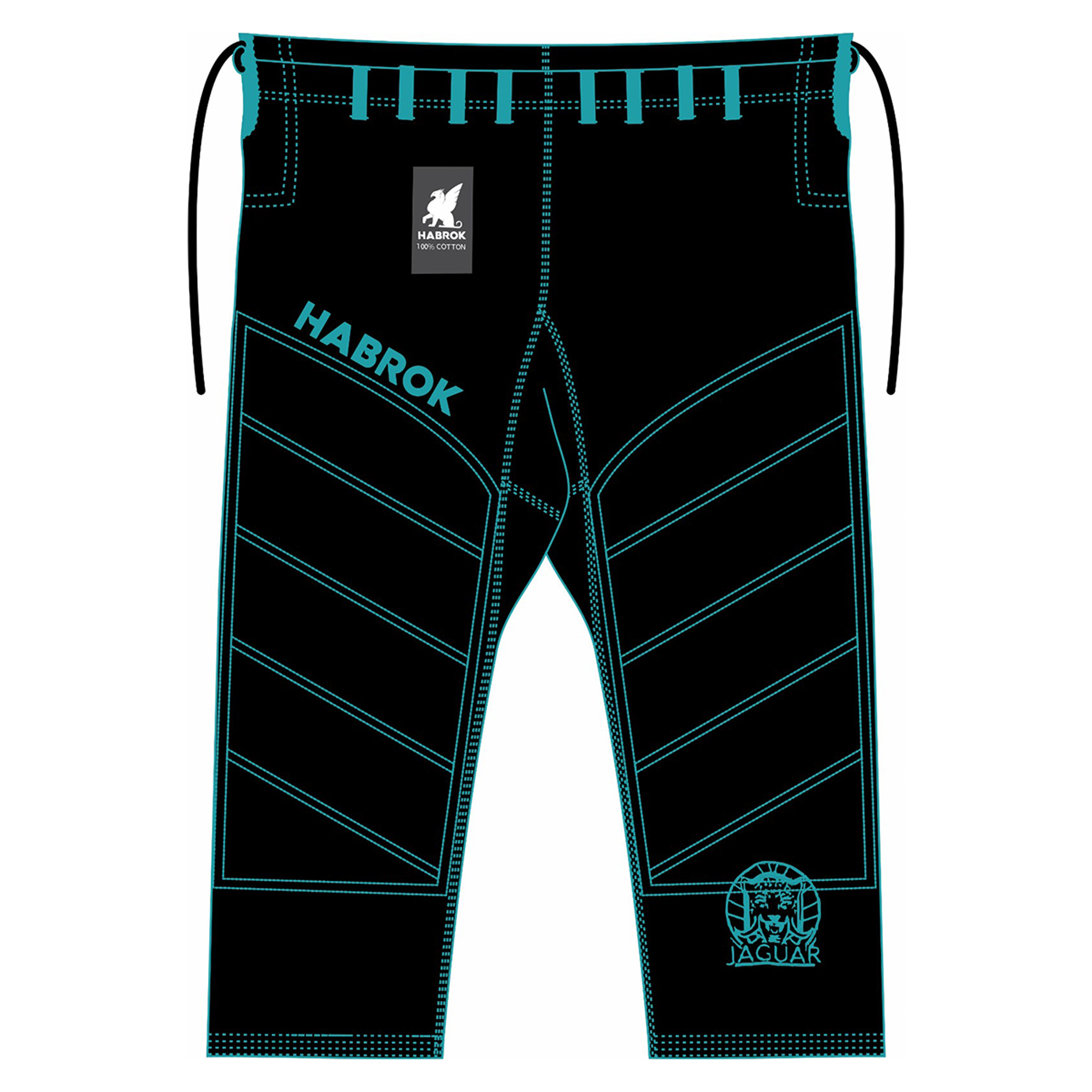 Aztec Jaguar | Limited Edition |
