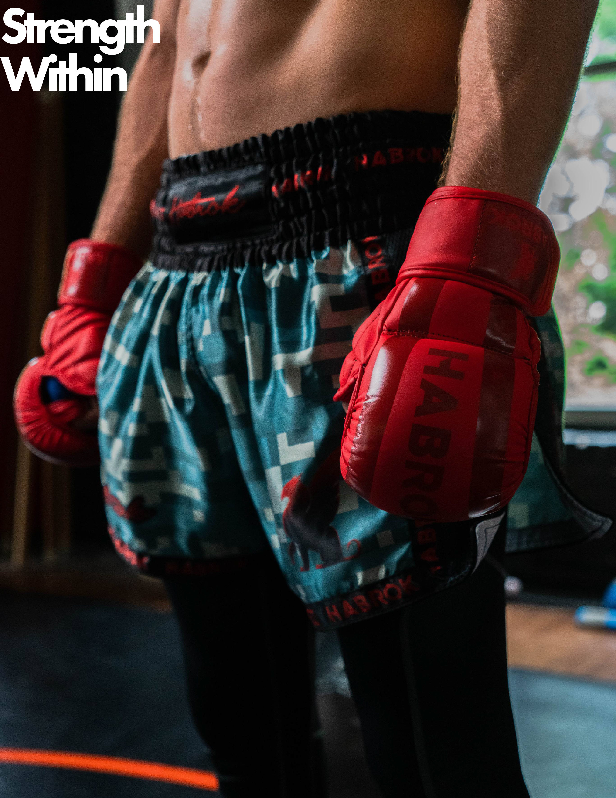 The Ultimate Guide to Choosing MMA Gloves and Shin Guards