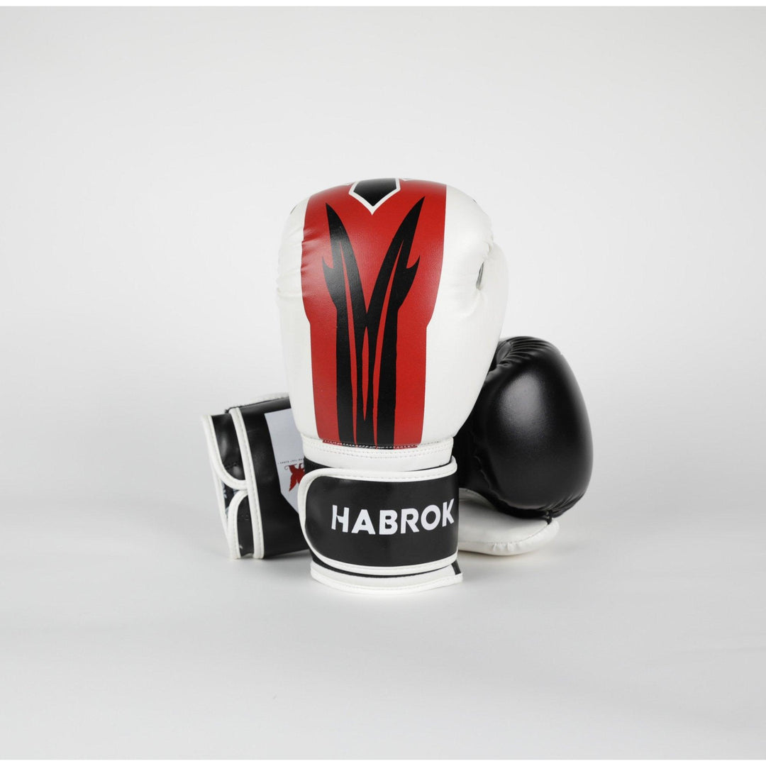 X 2.0 | Boxing Gloves WHITE/BLACK / 10ozBoxing Gloves- Habrok